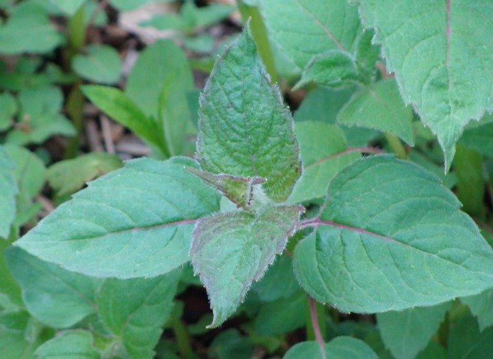 ???????????????????????????????