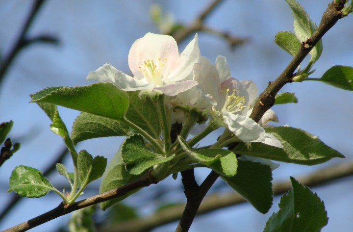 ???????????????????????????????