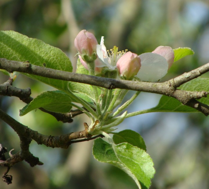 ???????????????????????????????