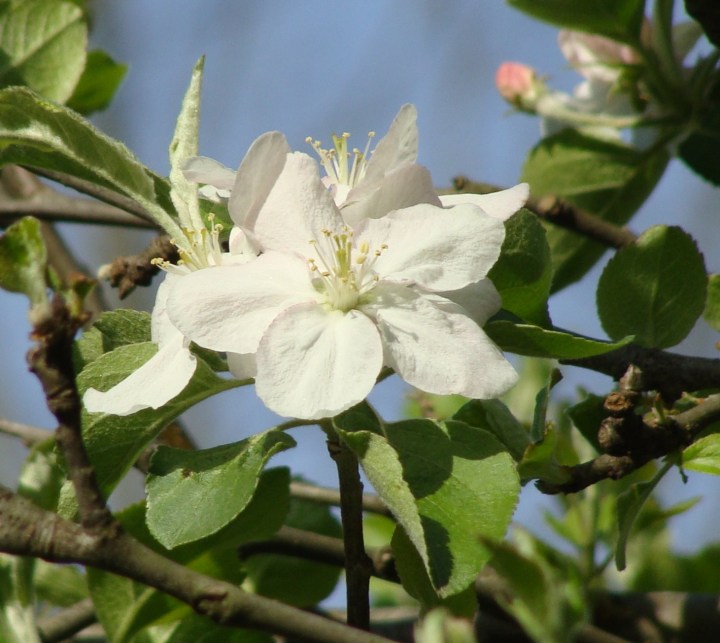 ???????????????????????????????