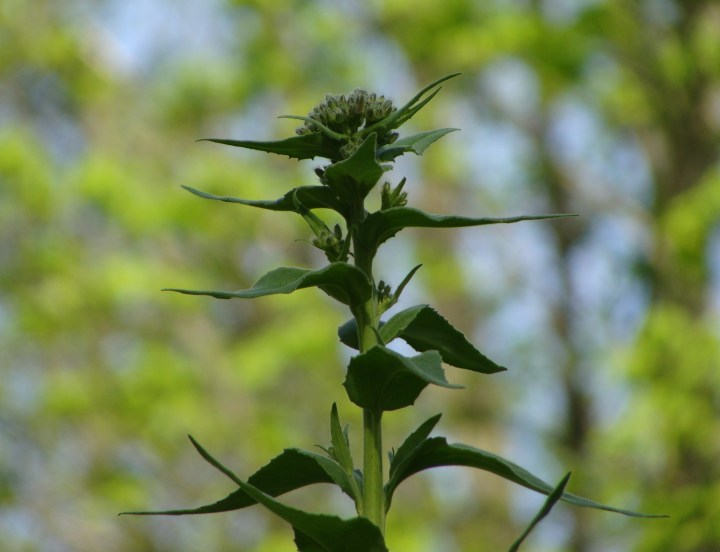 ???????????????????????????????