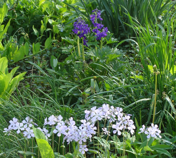 ???????????????????????????????