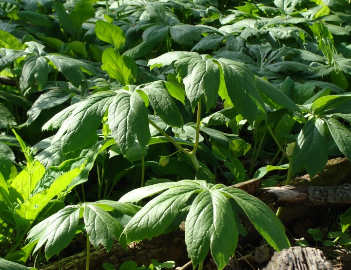 ???????????????????????????????