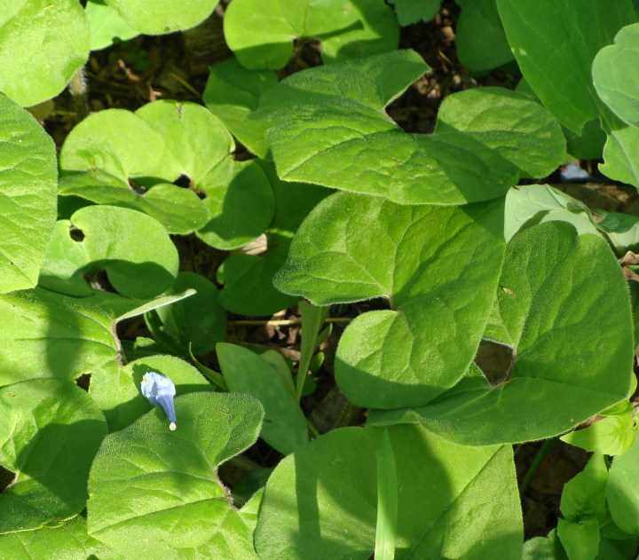 ???????????????????????????????