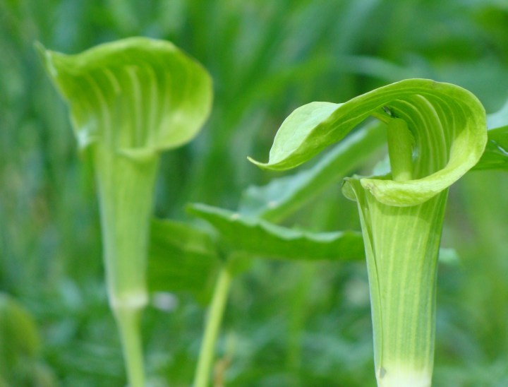 ???????????????????????????????