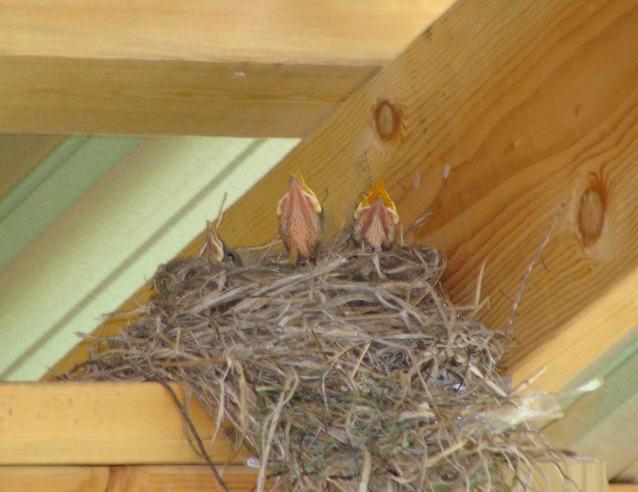 ???????????????????????????????