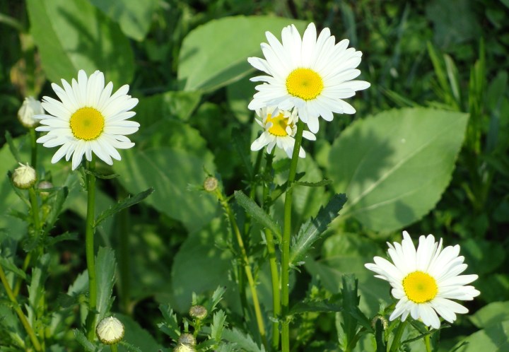 ???????????????????????????????