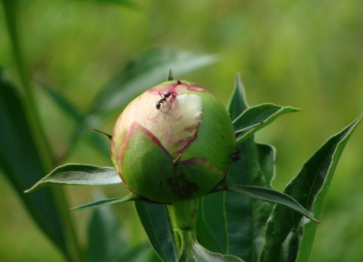 ???????????????????????????????