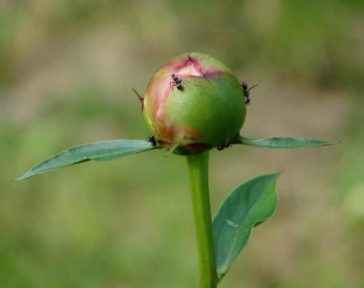 ???????????????????????????????