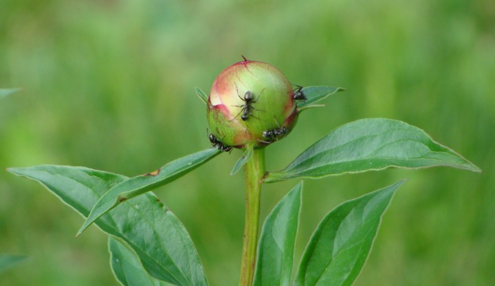 ???????????????????????????????