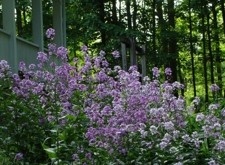 ???????????????????????????????