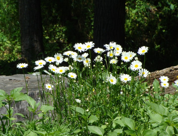 ???????????????????????????????