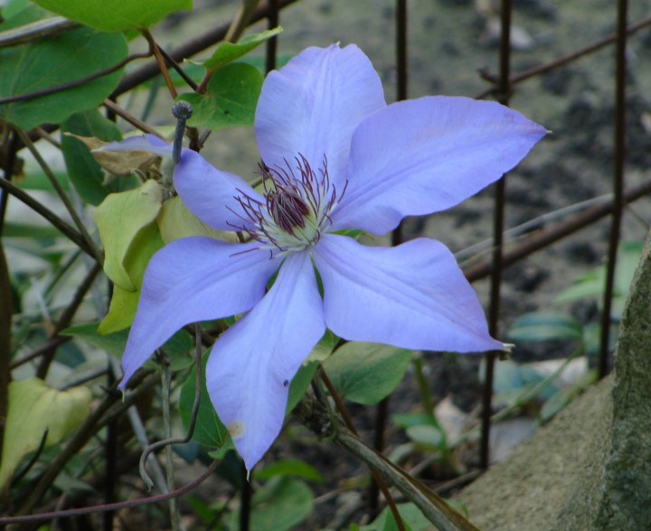 ???????????????????????????????