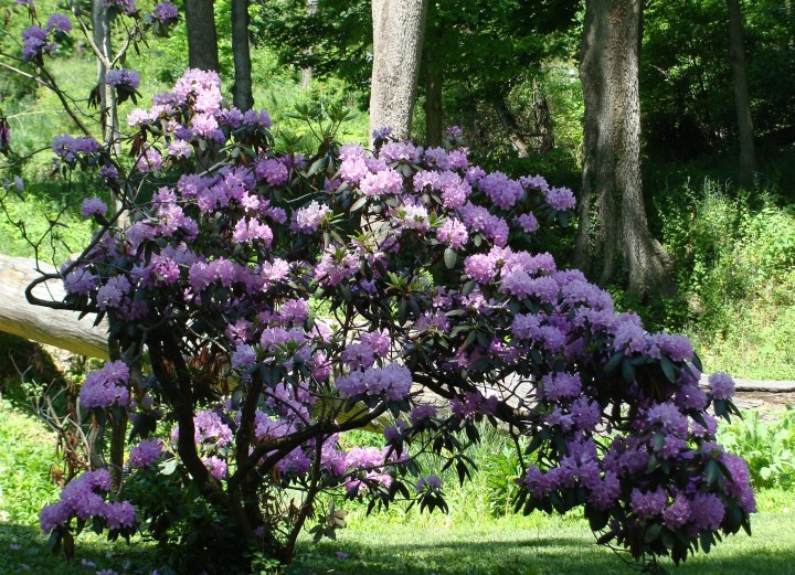 ???????????????????????????????