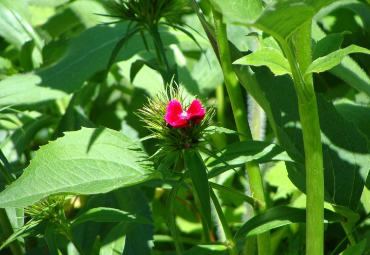 ???????????????????????????????