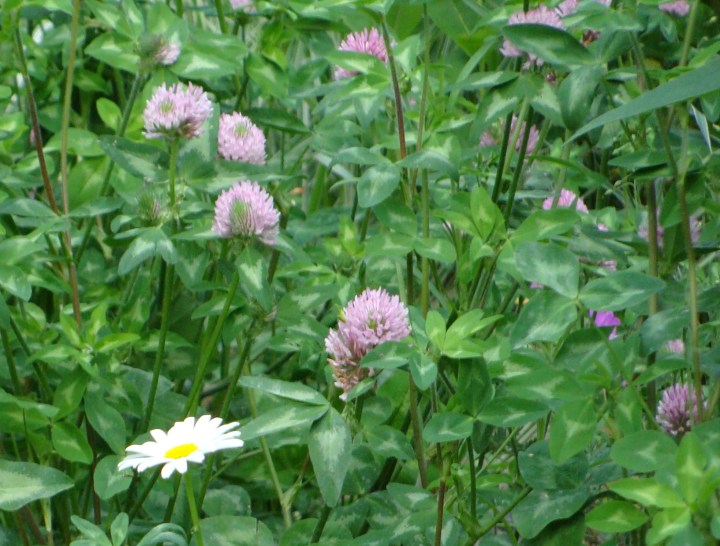 ???????????????????????????????