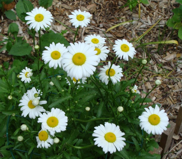 ???????????????????????????????