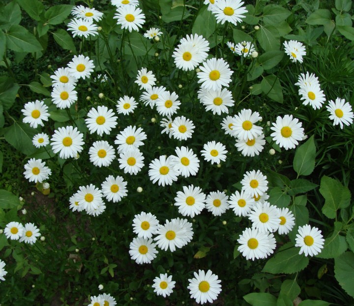 ???????????????????????????????