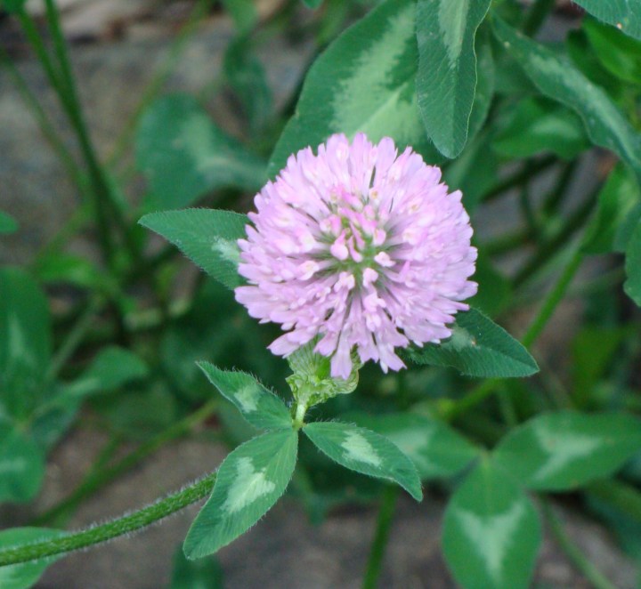 ???????????????????????????????