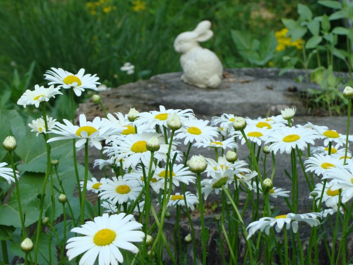 ???????????????????????????????