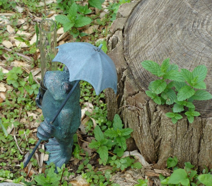 ???????????????????????????????