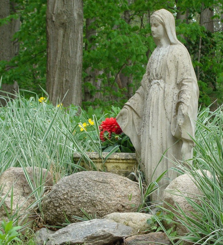 ???????????????????????????????