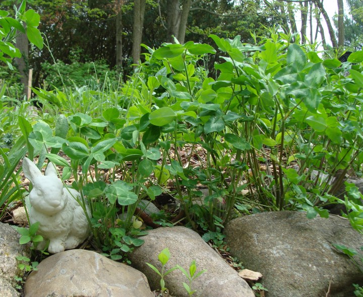 ???????????????????????????????