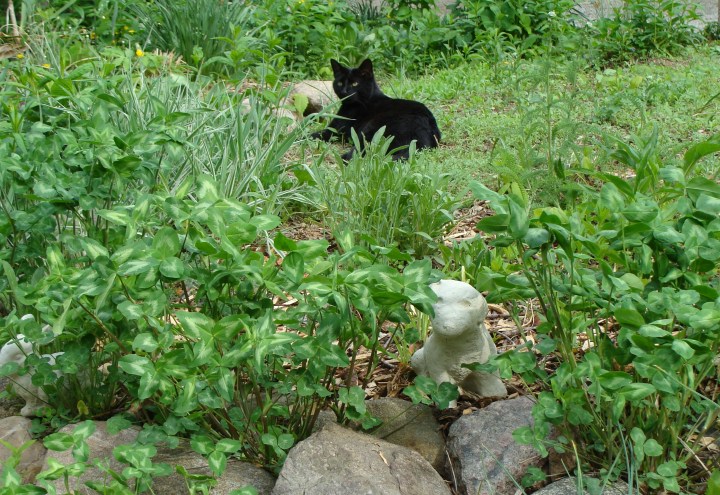 ???????????????????????????????