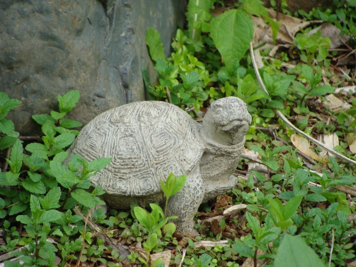 StoneTurtle