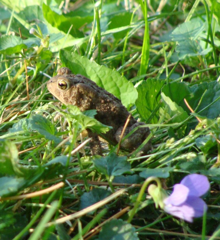 ???????????????????????????????