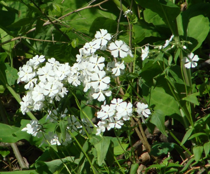 ???????????????????????????????