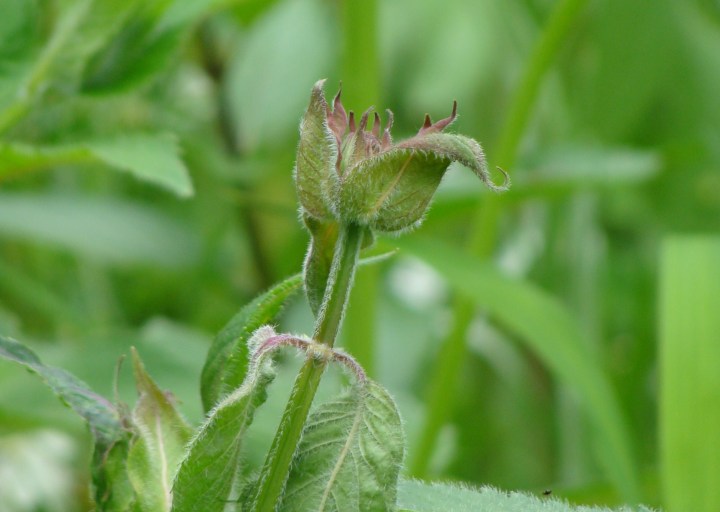 ???????????????????????????????