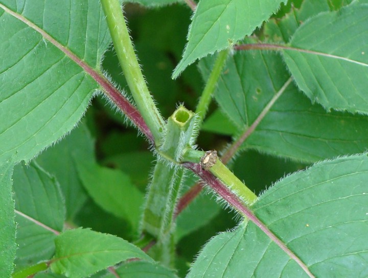 ???????????????????????????????