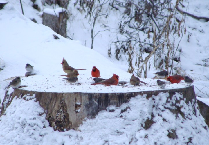 ???????????????????????????????