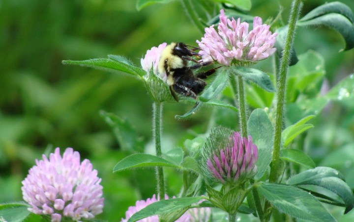 ???????????????????????????????