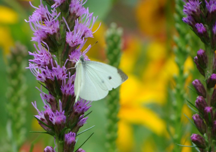 ???????????????????????????????