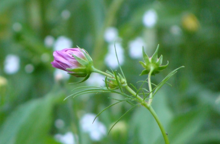 ???????????????????????????????