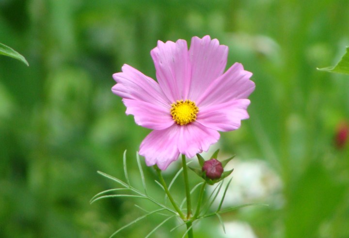 ???????????????????????????????