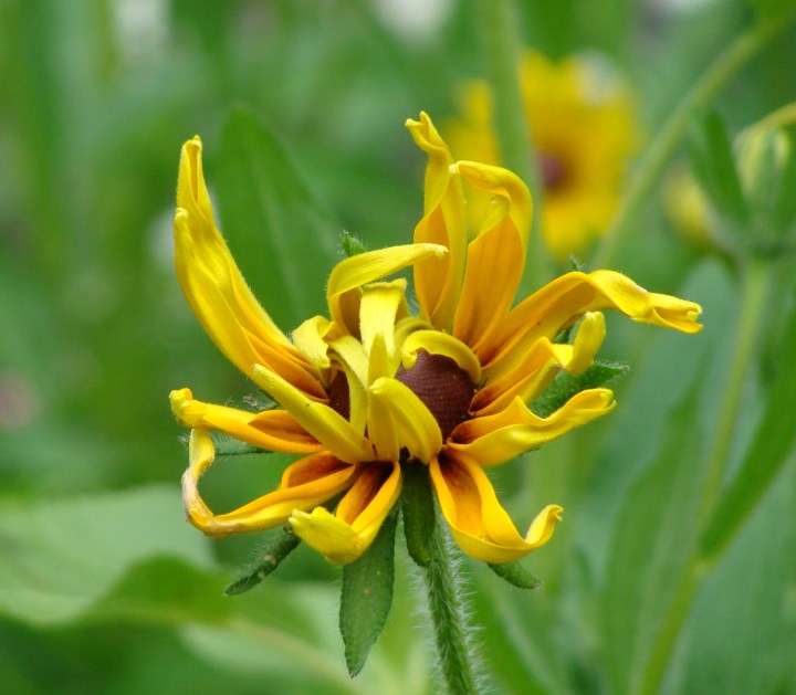 ???????????????????????????????