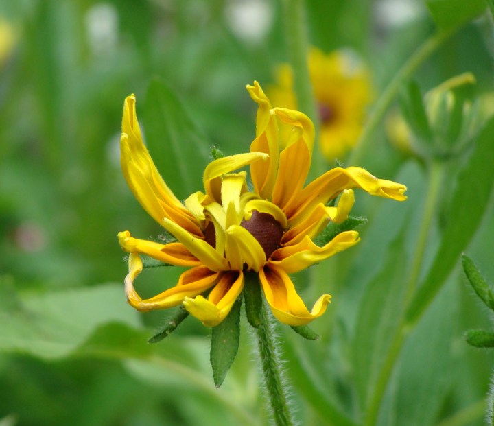 ???????????????????????????????