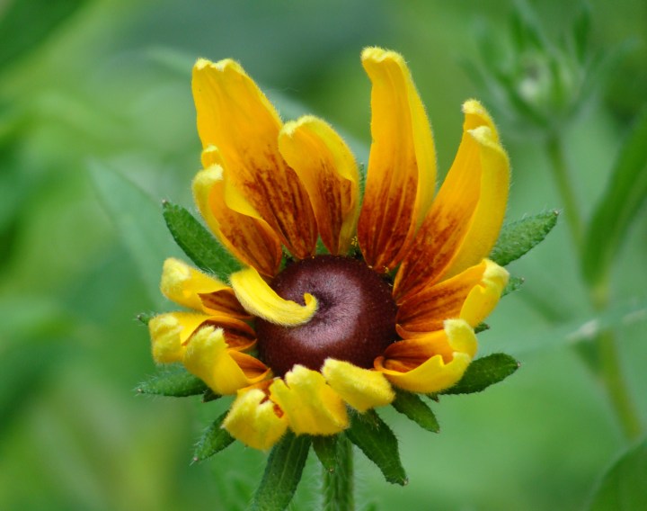 ???????????????????????????????