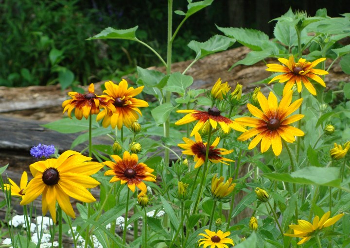 ???????????????????????????????