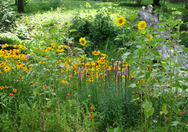 ???????????????????????????????