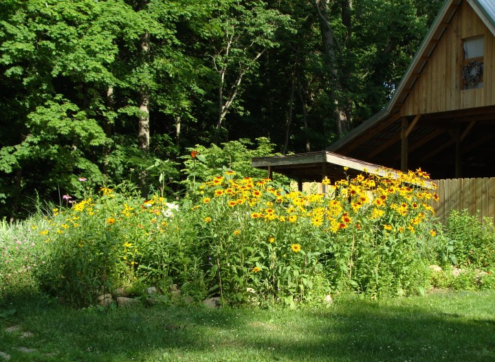 ???????????????????????????????