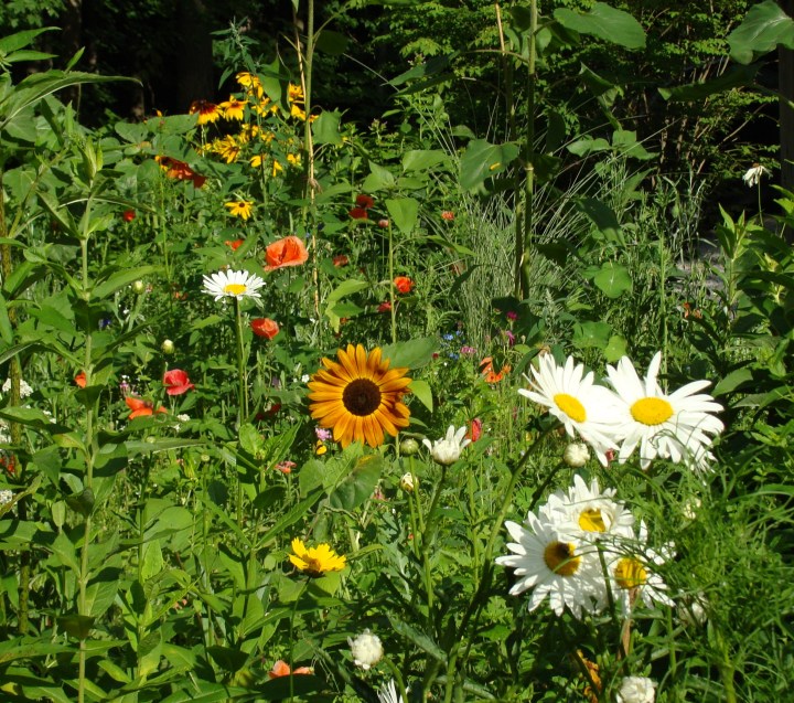 ???????????????????????????????