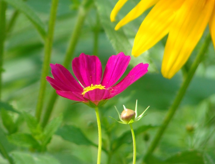 ???????????????????????????????