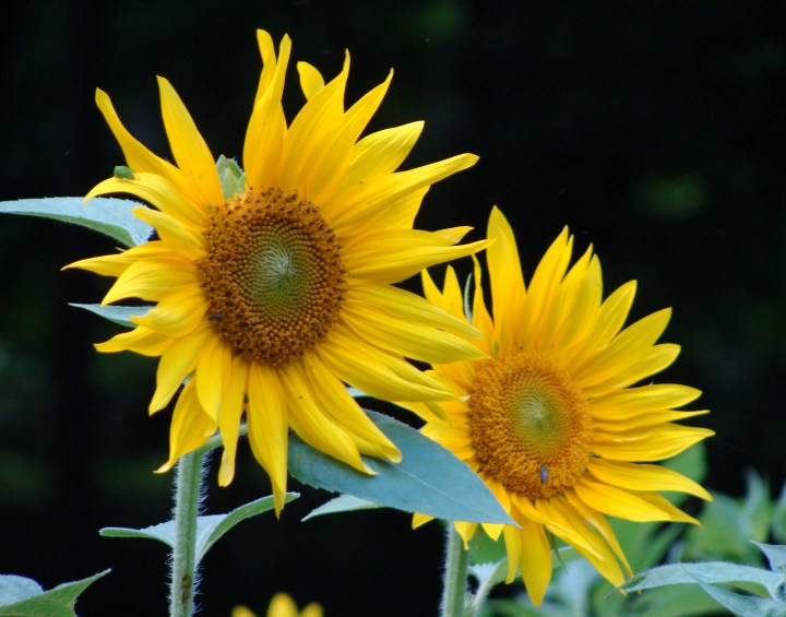 ???????????????????????????????