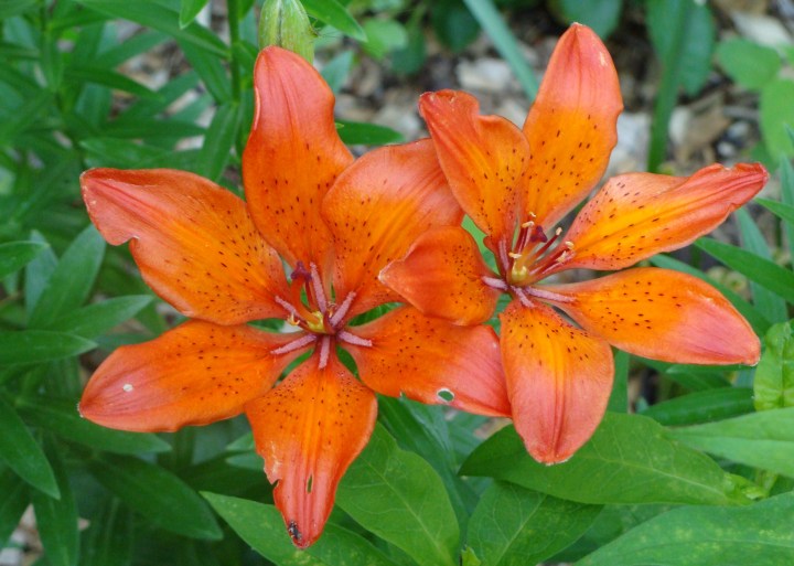 ???????????????????????????????