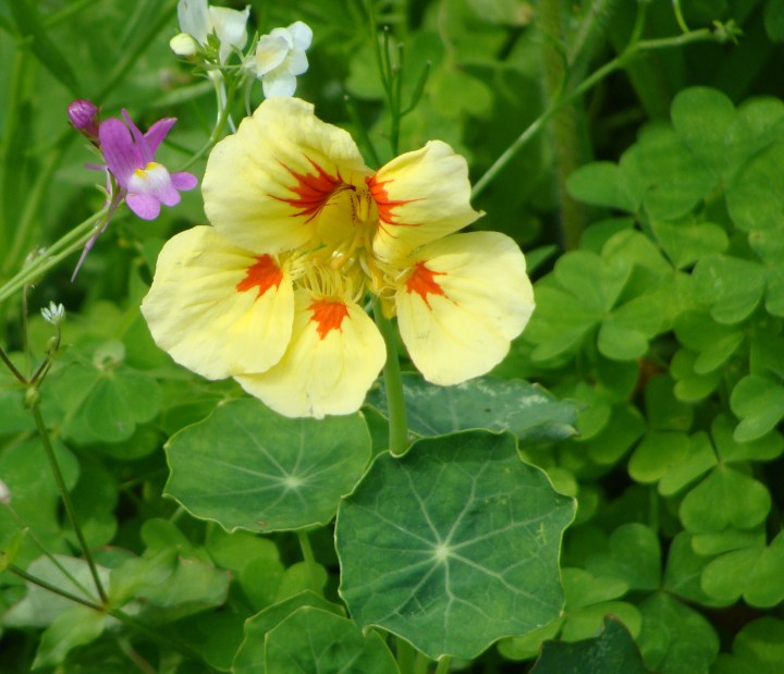 ???????????????????????????????