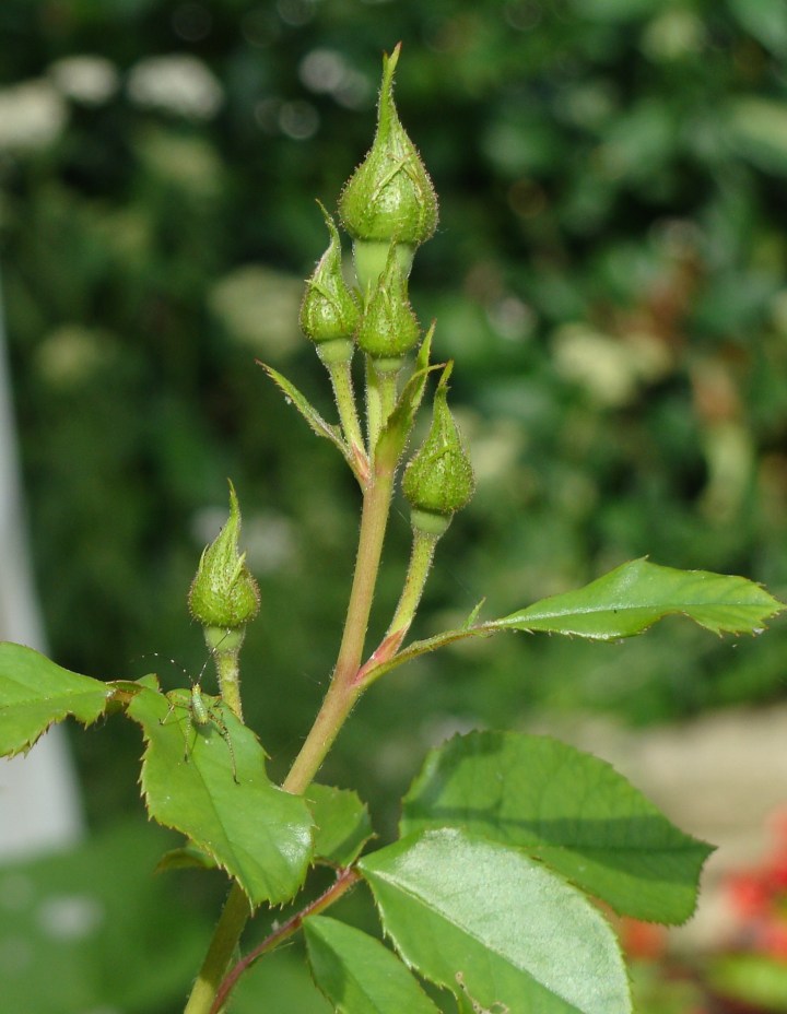 ???????????????????????????????